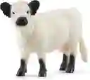 Figura Coleccionable Vaca Galloway Pintada A Mano Schleich