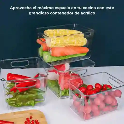 Contenedor Organizador Multiusos A