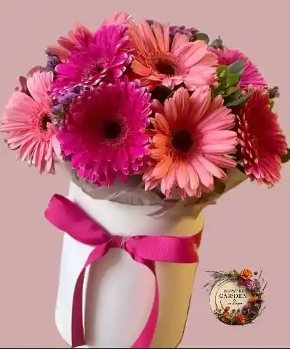 Gerberas La Esencia Del Amor