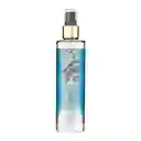 Perfume Body Mist Jenniffer Lopez Live Luxe 240ml