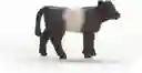 Figura Coleccionable Ternero Galloway Pintada A Mano Schleich