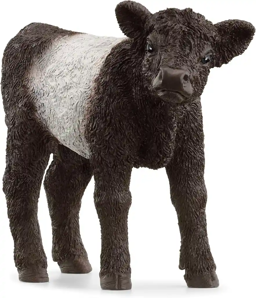 Figura Coleccionable Ternero Galloway Pintada A Mano Schleich