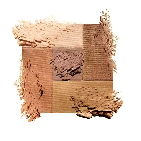 Rubor Bronzer Palladio 2 En 1 Sun Kissed 8g