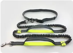 Correas Para Correr Con Tu Perro Color Negro Con Verde