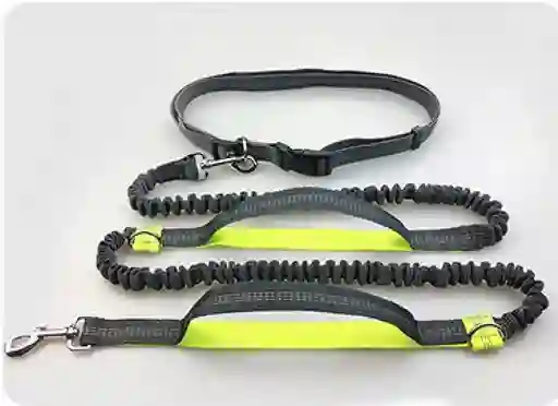 Correas Para Correr Con Tu Perro Color Negro Con Verde