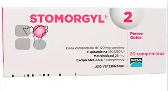 Stomorgyl 2mg *20 Comprimidos (venta X 1 Tableta)