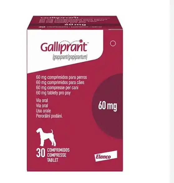 Galliprant 60gr (venta X Tableta)