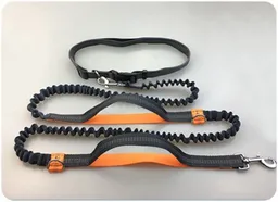 Correas Para Correr Con Tu Perro Color Negro Con Naranja