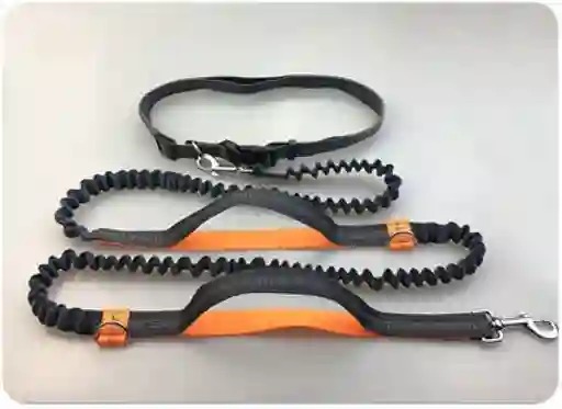 Correas Para Correr Con Tu Perro Color Negro Con Naranja