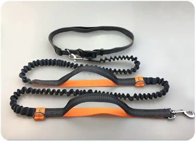 Correas Para Correr Con Tu Perro Color Negro Con Naranja