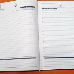 Agenda Permanente Gerencial 25 X 17 Cm