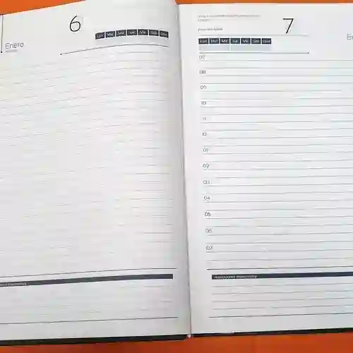 Agenda Permanente Gerencial 25 X 17 Cm