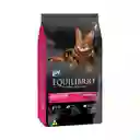 Equilibrio Para Gatos 1.5 Kg Equilibrio Gato Pollo 1.5 Kg Equilibrio Cat