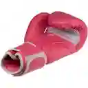 Guante Para Boxeo (entrenamiento) 10oz B