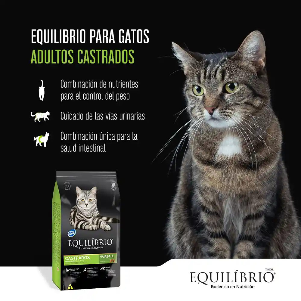 Equilibrio Para Gato Castrado 1.5 Kg Equilibrio Gato Castrado 1.5 Kg Equilibrio Cat