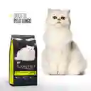 Equilibrio Gato Pelos Longos 1.5 Kg Equilibrio Gato Pelos Longo 1.5 Kg Gatos Equilibrio Castrado Pelo Longo