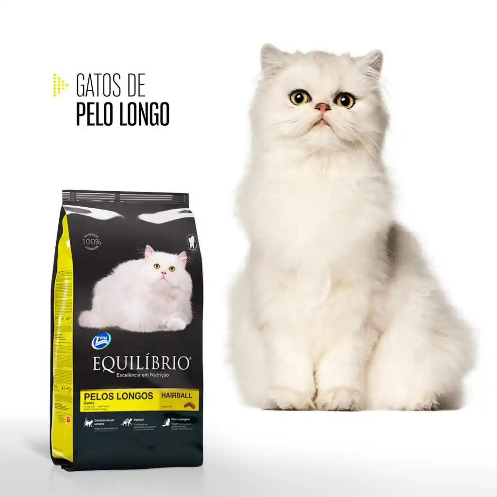 Equilibrio Gato Pelos Longos 1.5 Kg Equilibrio Gato Pelos Longo 1.5 Kg Gatos Equilibrio Castrado Pelo Longo