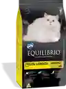 Equilibrio Gato Pelos Longos 1.5 Kg Equilibrio Gato Pelos Longo 1.5 Kg Gatos Equilibrio Castrado Pelo Longo