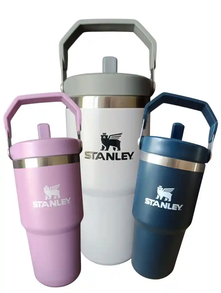 Termo Tipo Stanley 20 Oz - 600 Ml | Acero Inoxidable *lila*