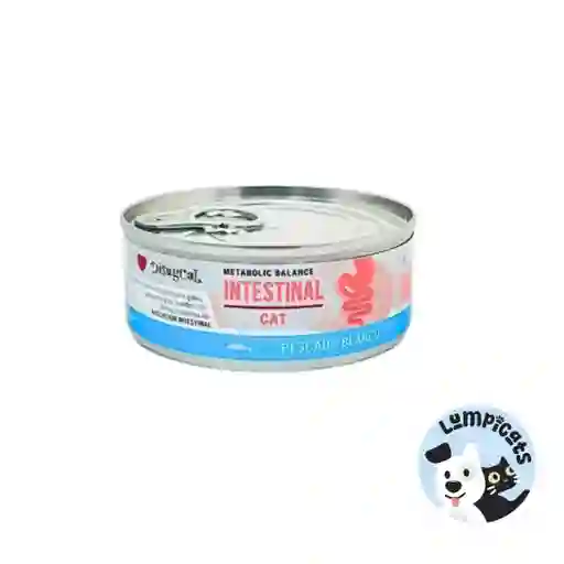 Disugual Para Gatos Diet - Pescado Blanco - Lata Por 85 Gr