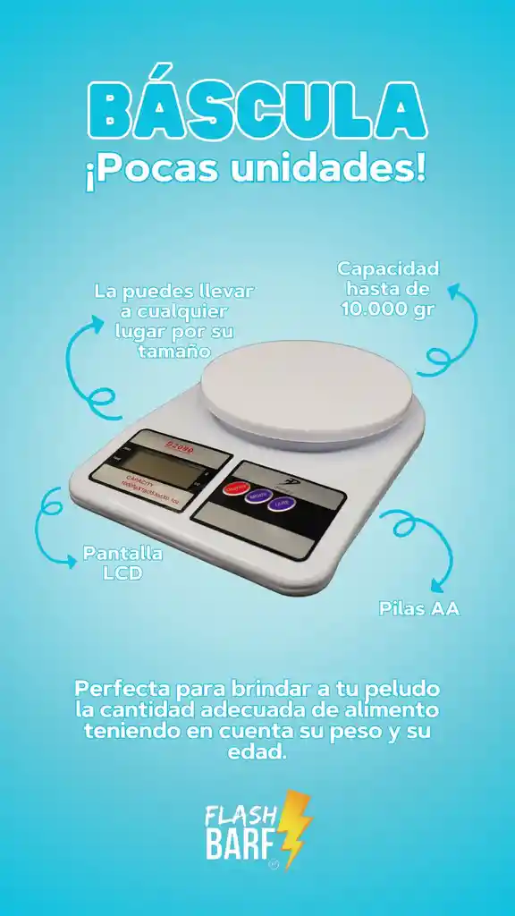 Gramera Digital 10 Kg