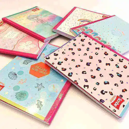 Cuaderno Rayado Cosido X 100 Hojas Femenino