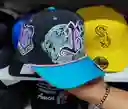 Gorra Westcol Blessd Edición Especial - Negro, Morado Y Turquesa