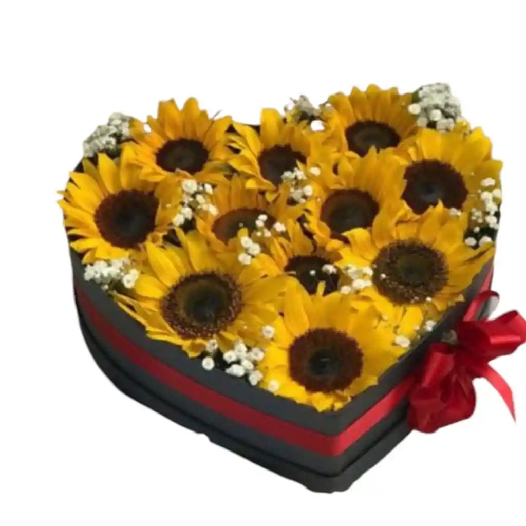 Sembrado Corazon De Girasoles