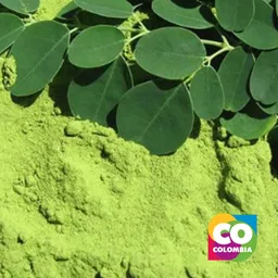 Moringa En Hoja Por Libra