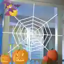 Decoración De La Araña Tela De Araña De Halloween