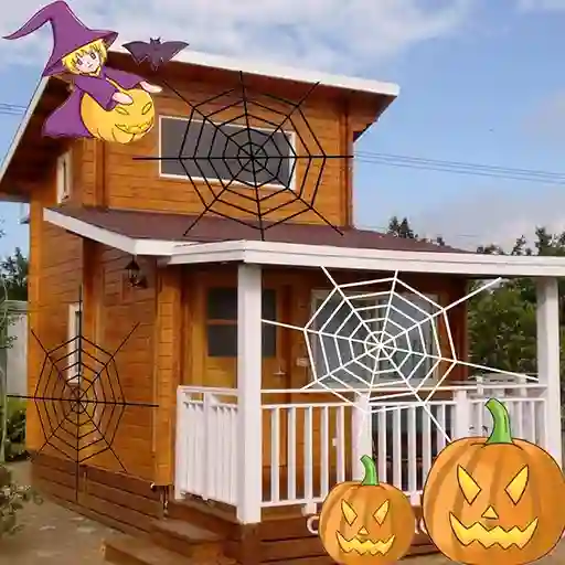 Decoración De La Araña Tela De Araña De Halloween