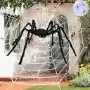 Decoración De La Araña Tela De Araña De Halloween