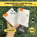 Cargador Rapido 33w