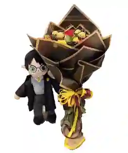 Rosas Un Sueño En Gryffindor Con Snitch Dorada Y Muñeco De Harry Potter