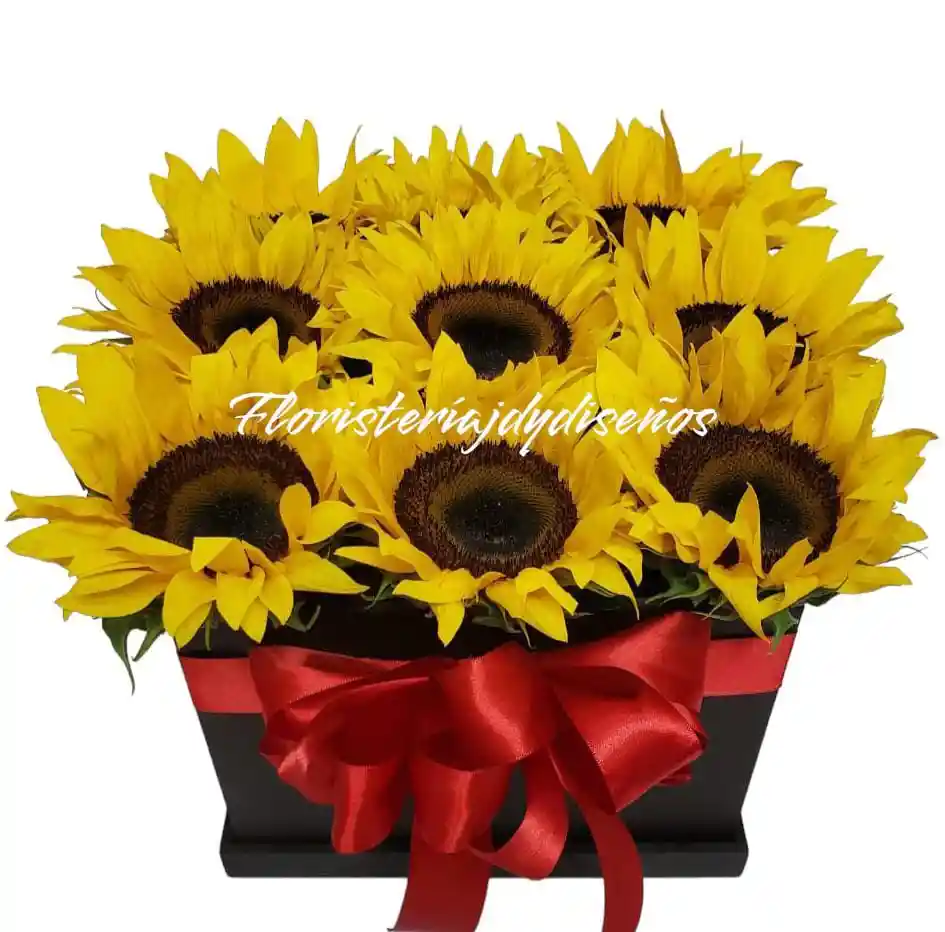 Brilla Con Girasoles