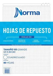 Hojas De Repuesto Para Folder Tamaño Carta Cuadriculado Norma