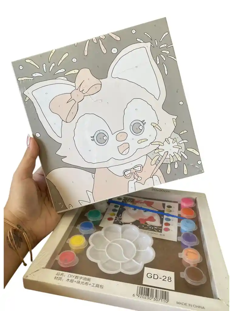 Kit De Arte Cuadro Lienzo Para Niños