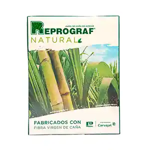 Resma De Papel Fotocopia Ecologica 75 Gr Oficio