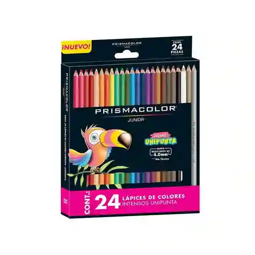 Colores Prismacolor X 24 Unidades