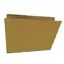 Folder Oficio Carton Paquete X 20 Unidades