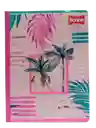 Cuaderno Scribe Cosido Master 100-2