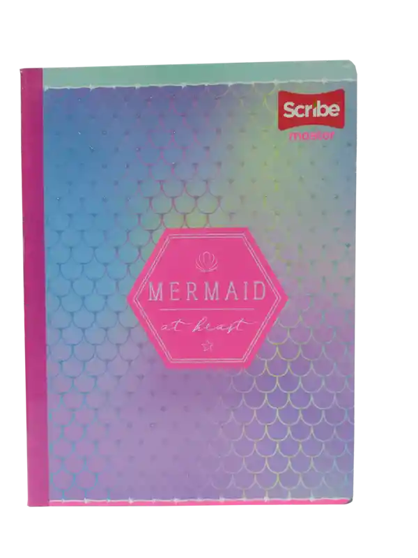 Cuaderno Scribe Cosido Master 100-2