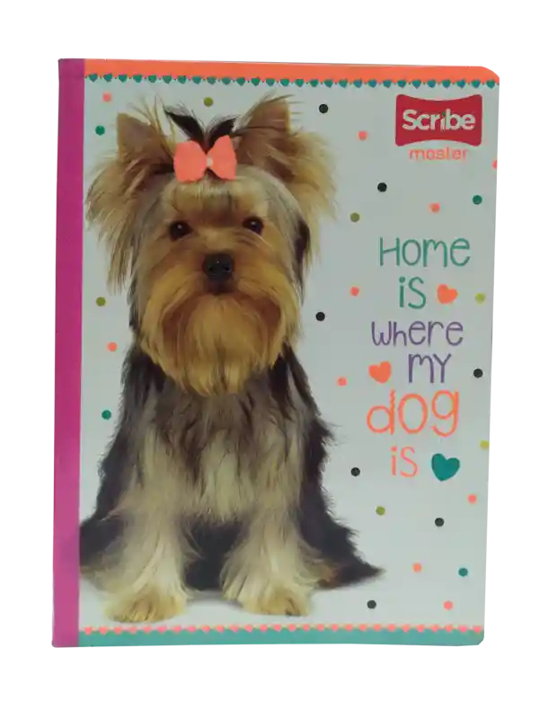 Cuaderno Scribe Cosido Master 100-2