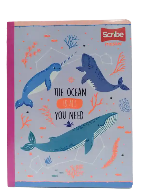 Cuaderno Scribe Cosido Master 100-2