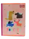 Cuaderno Scribe Cosido Master 100-2
