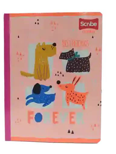 Cuaderno Scribe Cosido Master 100-2