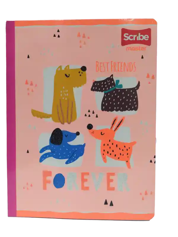 Cuaderno Scribe Cosido Master 100-2