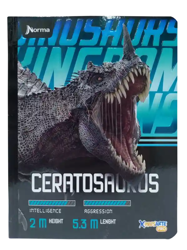 Cuaderno Cosido Expresarte 100 Hojas