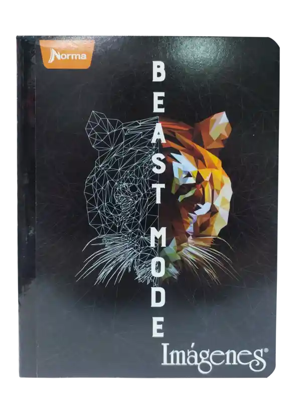 Cuaderno Cosido Cuadriculado 100 Hojas Imágenes