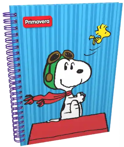 Cuaderno Primavera 85 1 Materia